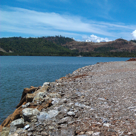 媒体中心广商网-龙头企业_人物专访_行情趋势